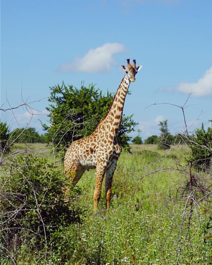 Mabata Makali Luxury Tented Camp Ilusi Exterior photo